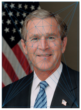 President Bush Triangulation